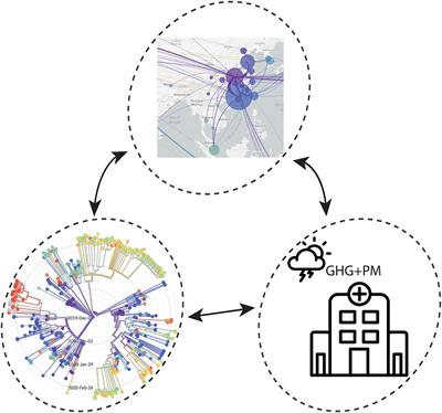 Editorial: COVID Ecology and Evolution: Systemic Biosocial Dynamics